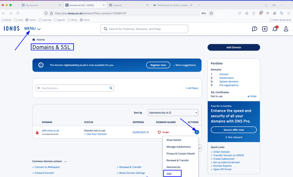 IONOS finding DNS settings IONOS finding DNS settings